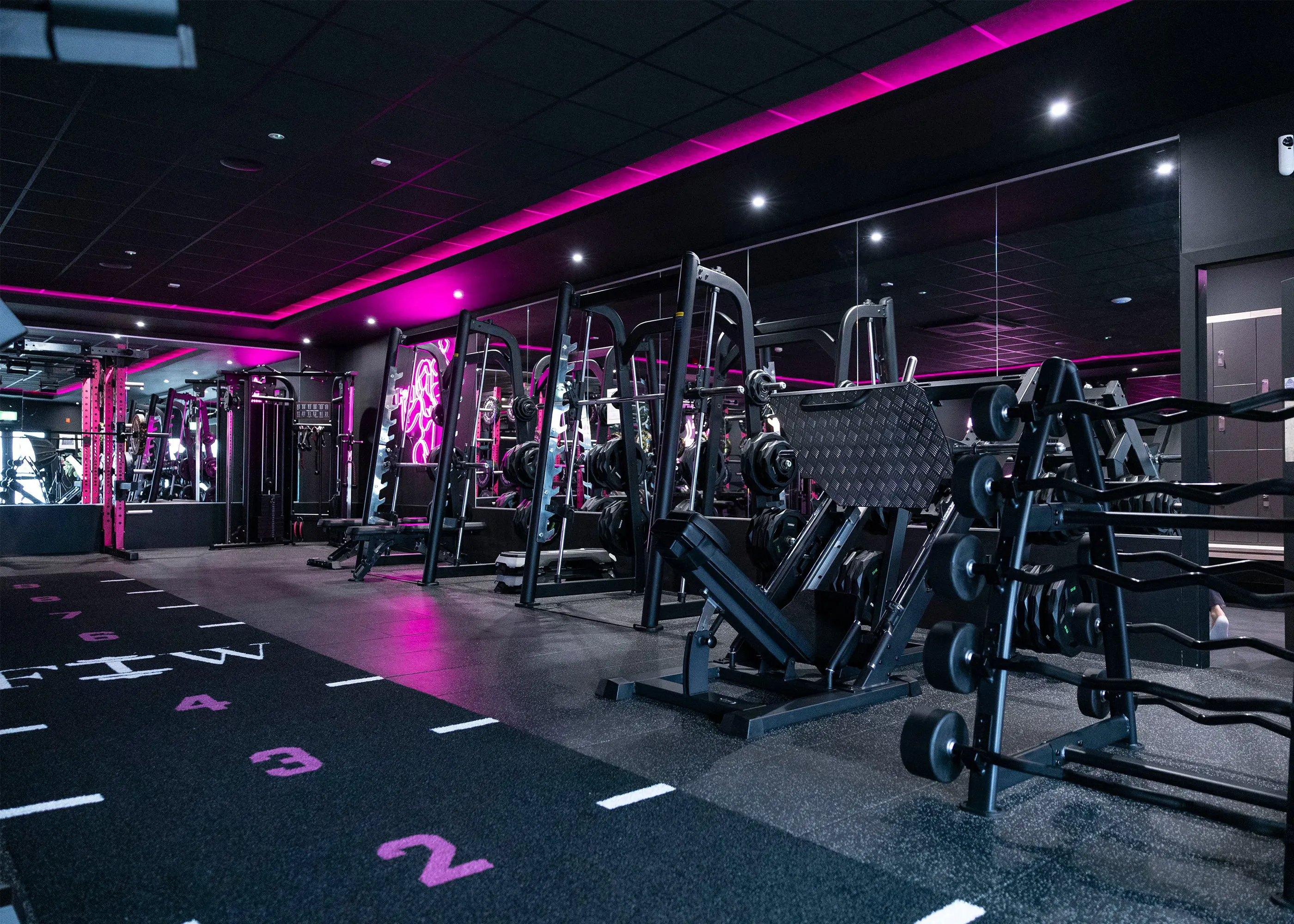 Elevate Your Training Experience Today